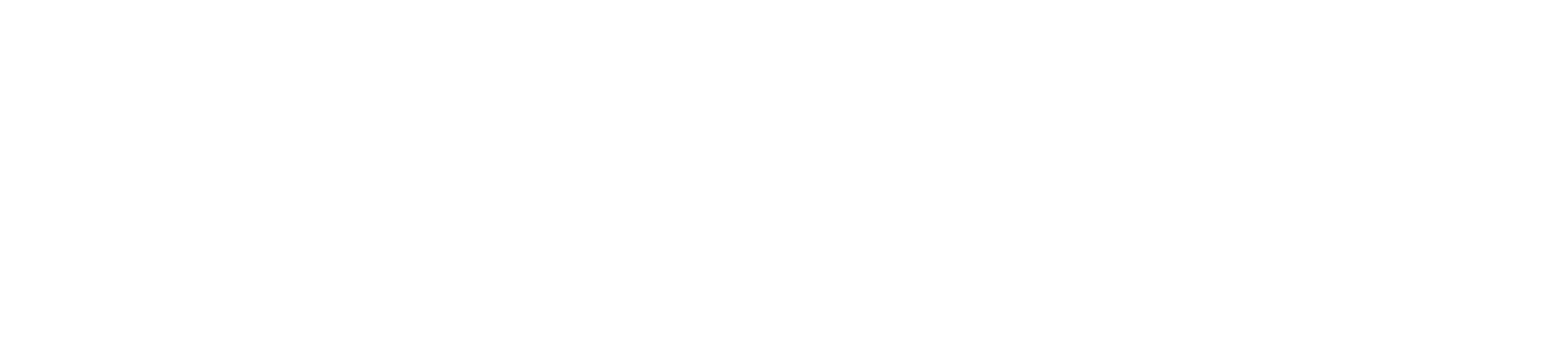 Top Secret Detailing Studio Logo